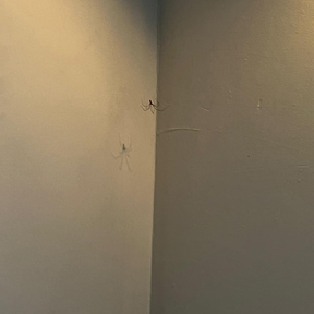 Deep Cleaning Ilkley